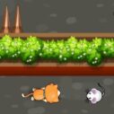 Cat Trap Labyrinth Escape 3 cat trap labyrinth escape 2