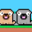 friends pug 1