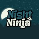 Night Ninja 10 night ninja 1