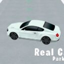 Real Car Parking 3D 9 real car parking 3d
